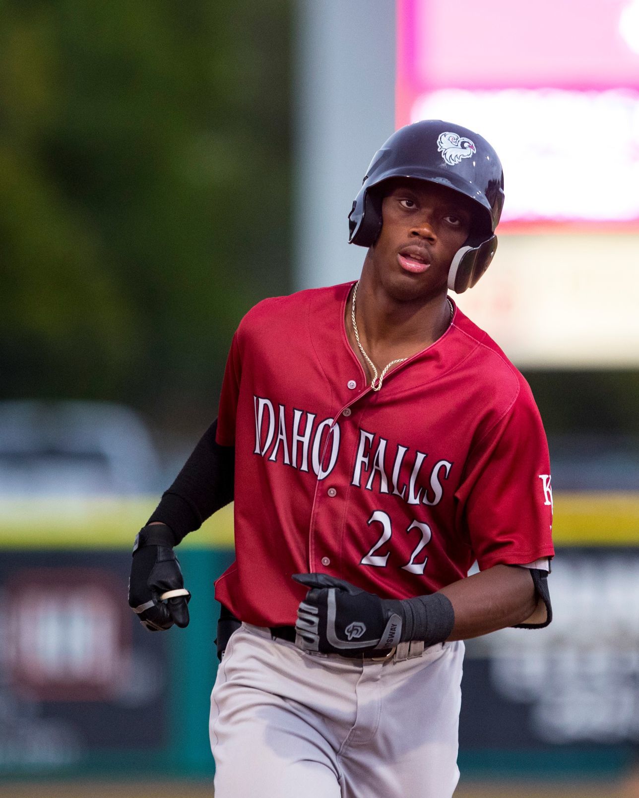 Mustangs vs. Chukars